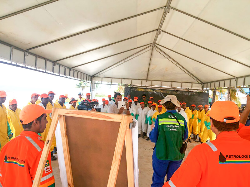 Estratégia de resposta ao Meio Ambiente